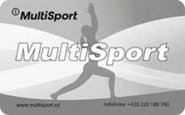 MultiSport